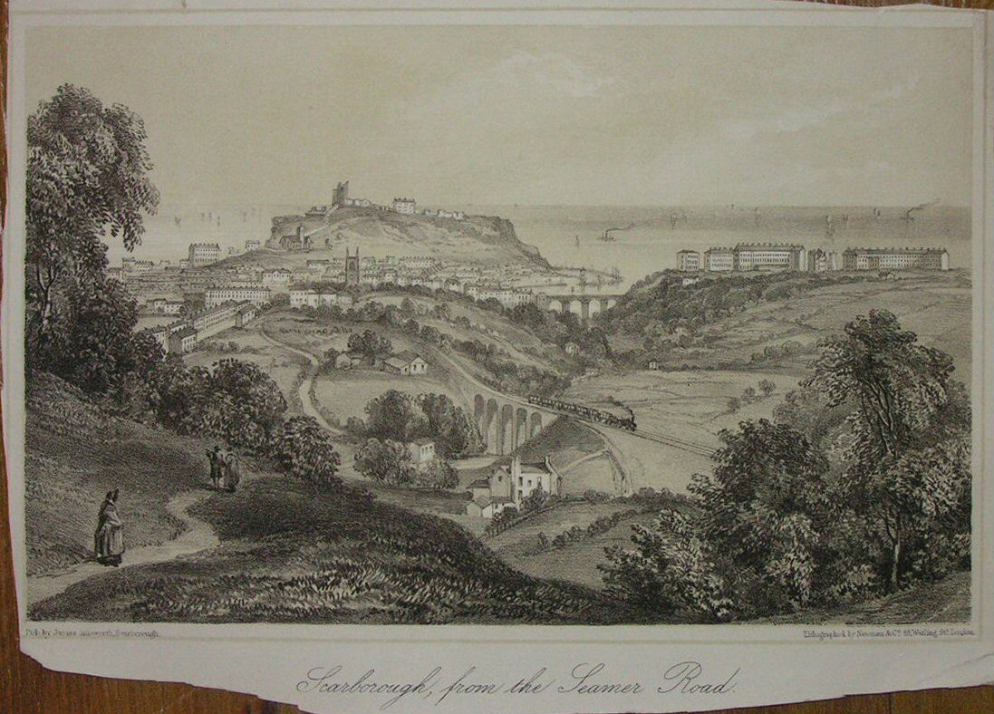 Lithograph - Scarborough from the Seamer Road - Newman